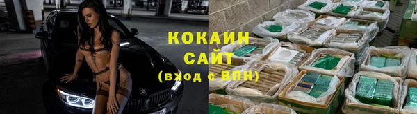 гашик Алзамай