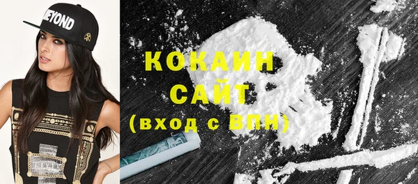 гашик Алзамай