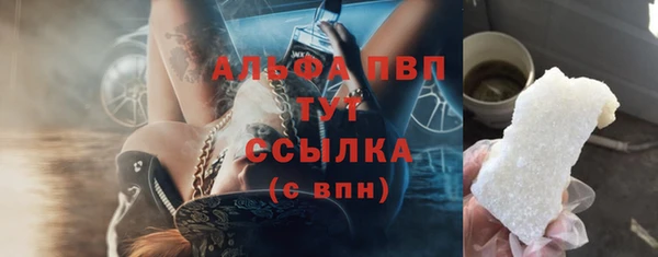 apvp Алексин