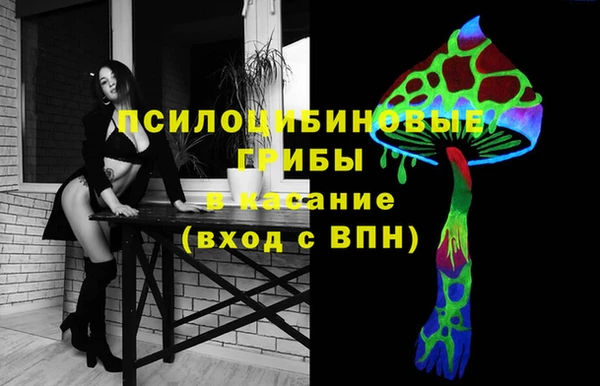 гашик Алзамай